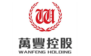 万丰控股