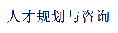 人才规划与咨询